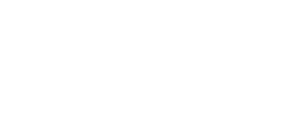 MaxWiz 迈斯威志