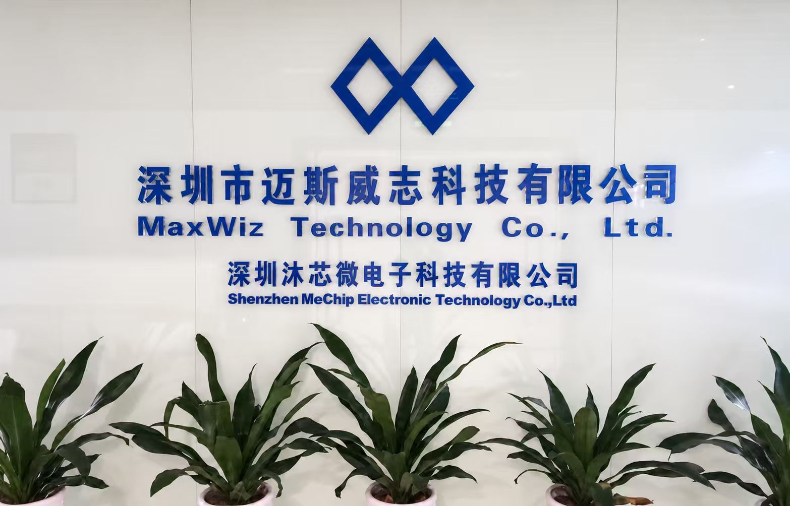 迈斯威志生产车间